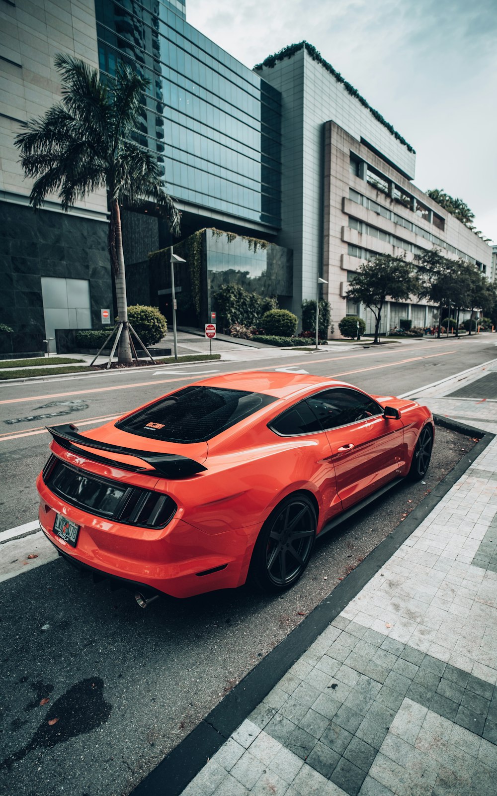 red ferrari 458 italia parked on the street