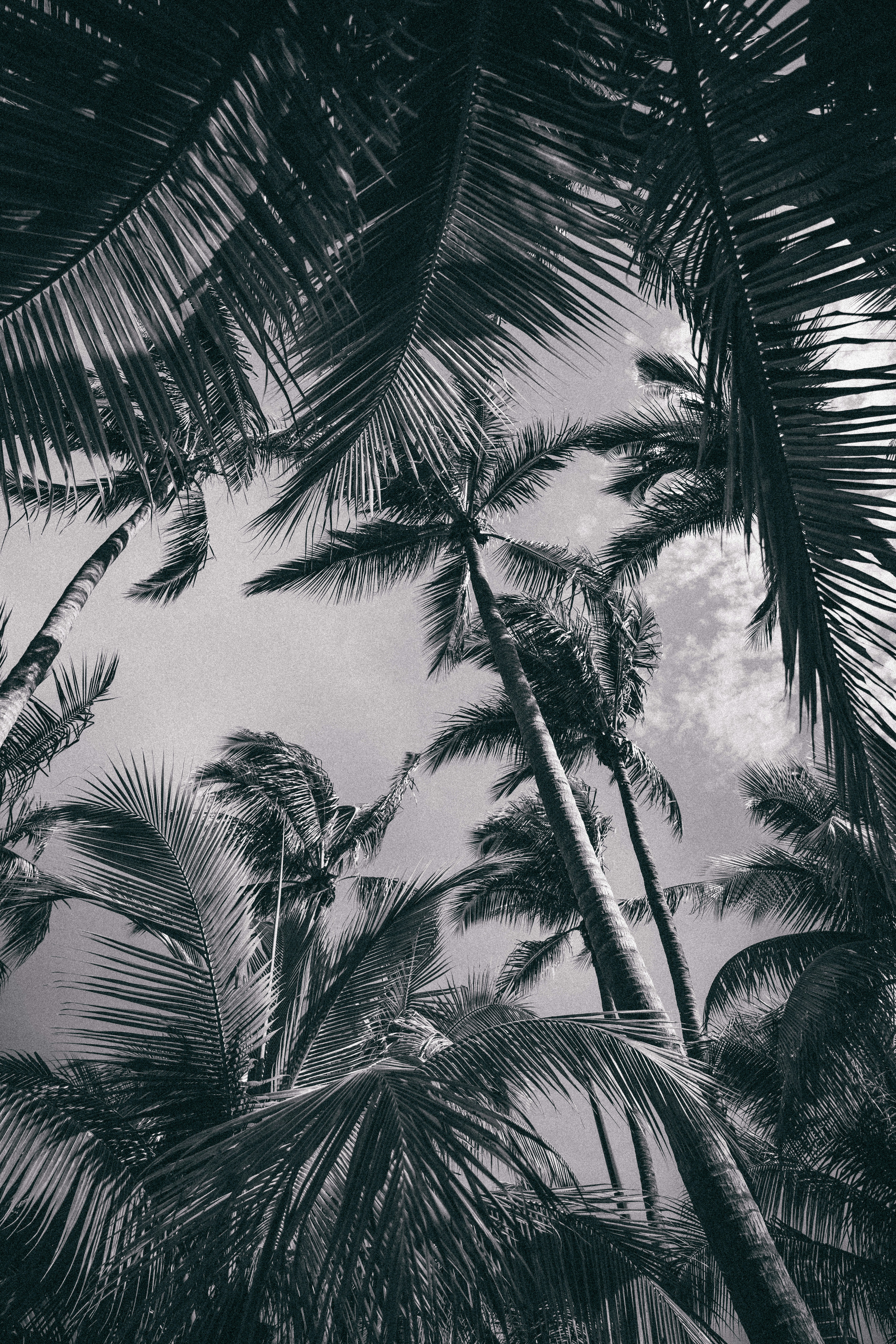 Photo by andredantan19