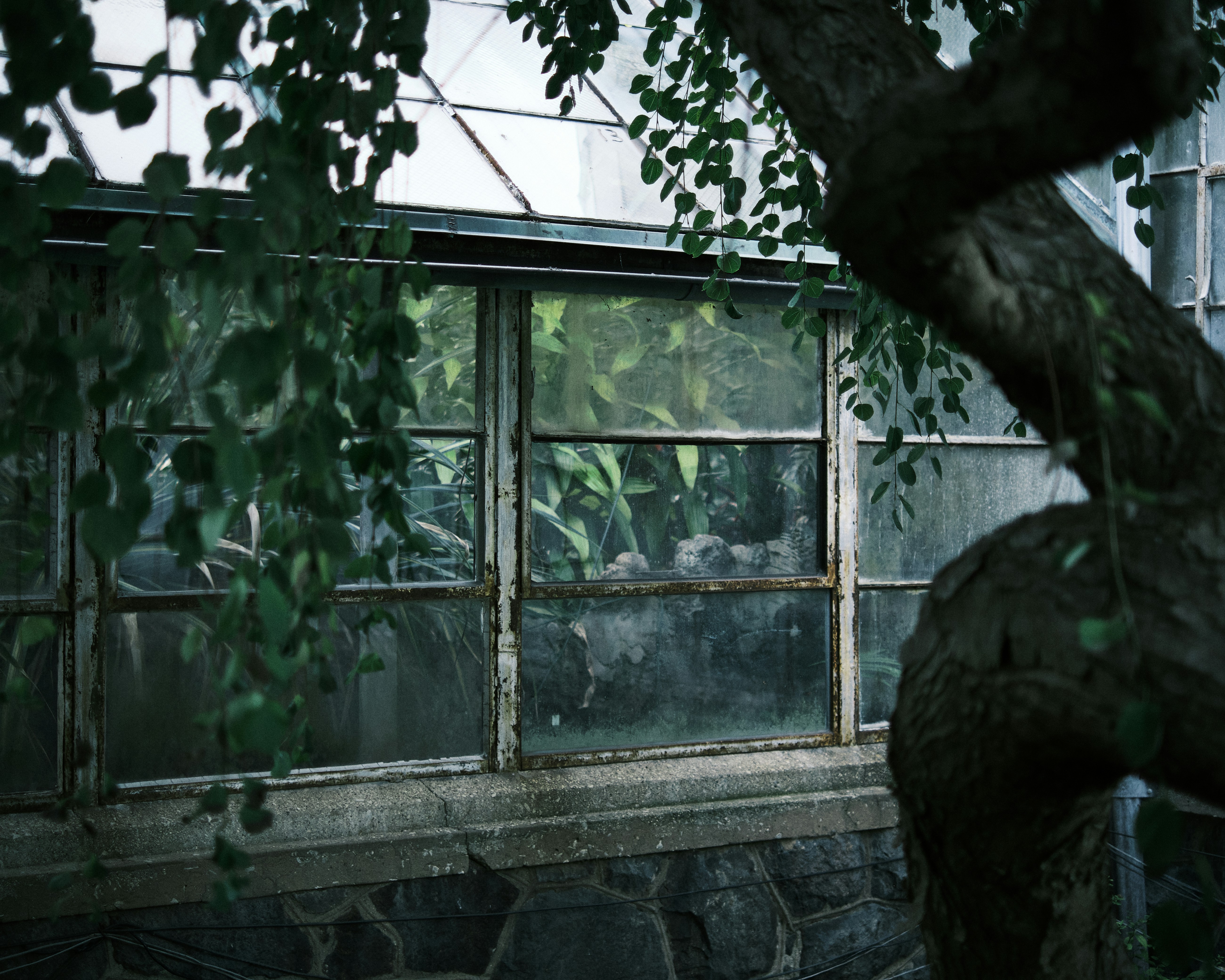 Photo by ianjbattaglia