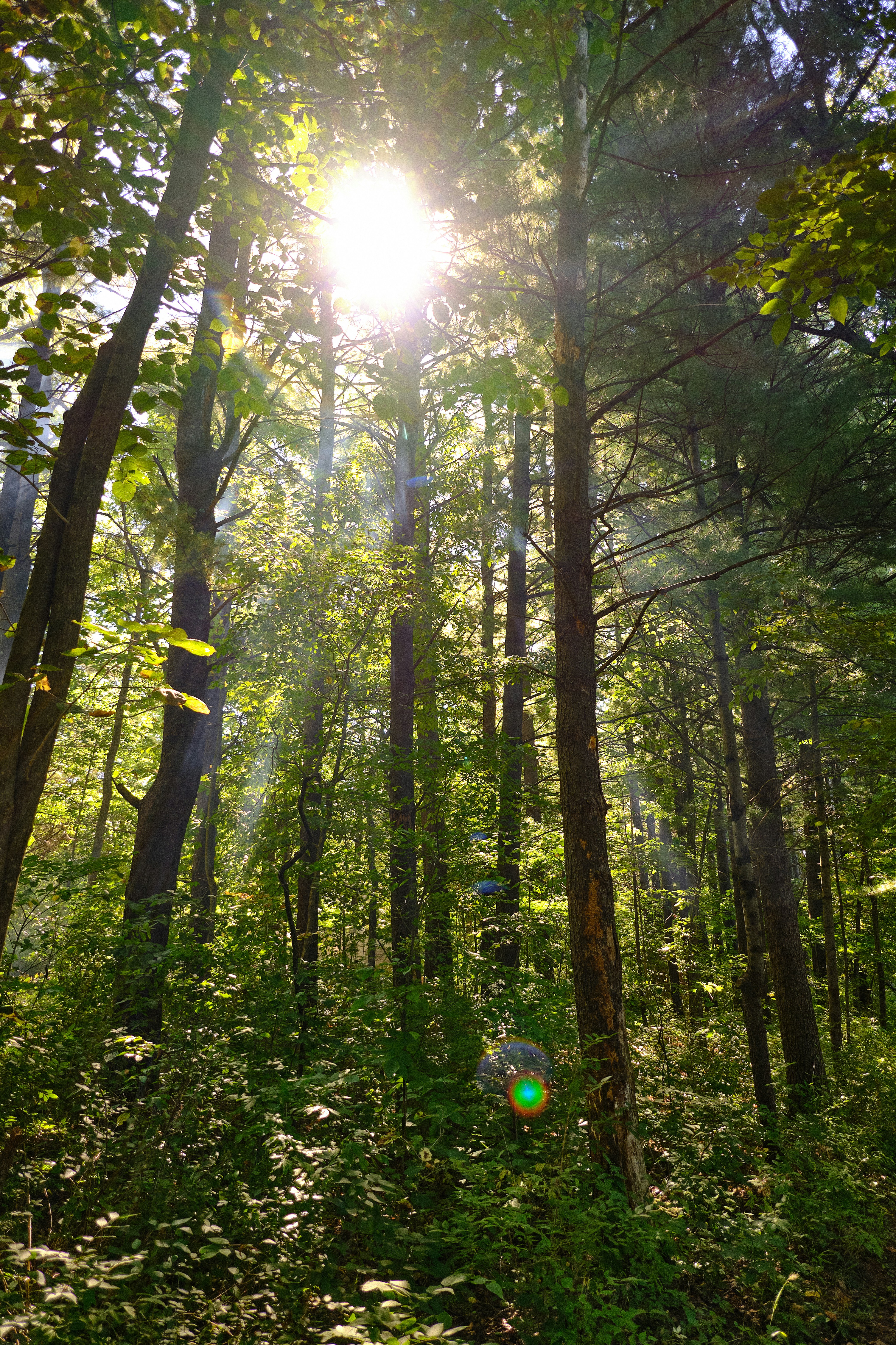 Photo by ianjbattaglia