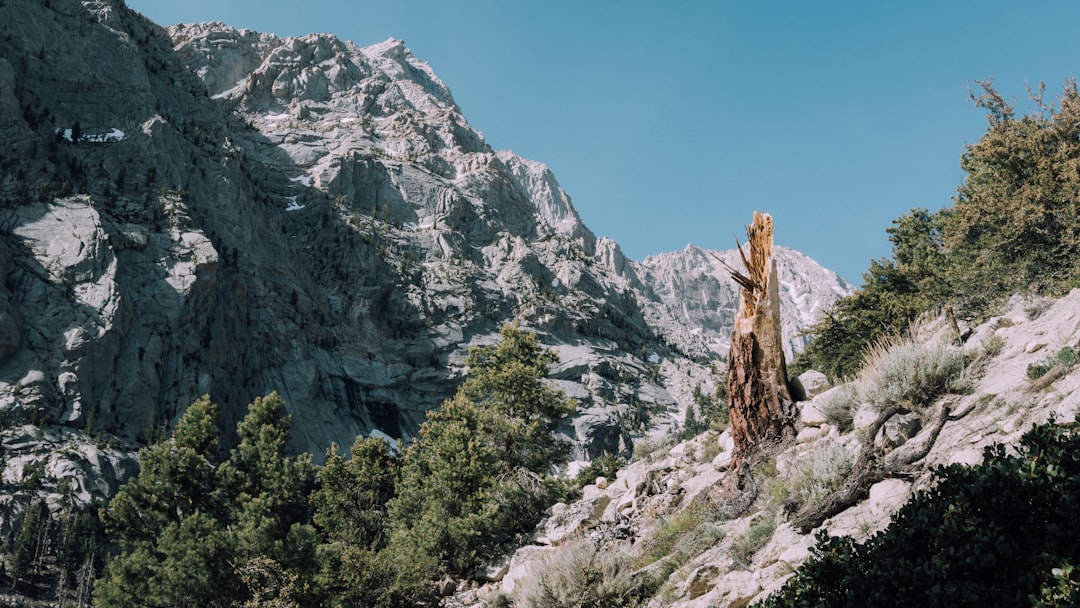 green trees on rocky mountain under blue sky during daytime