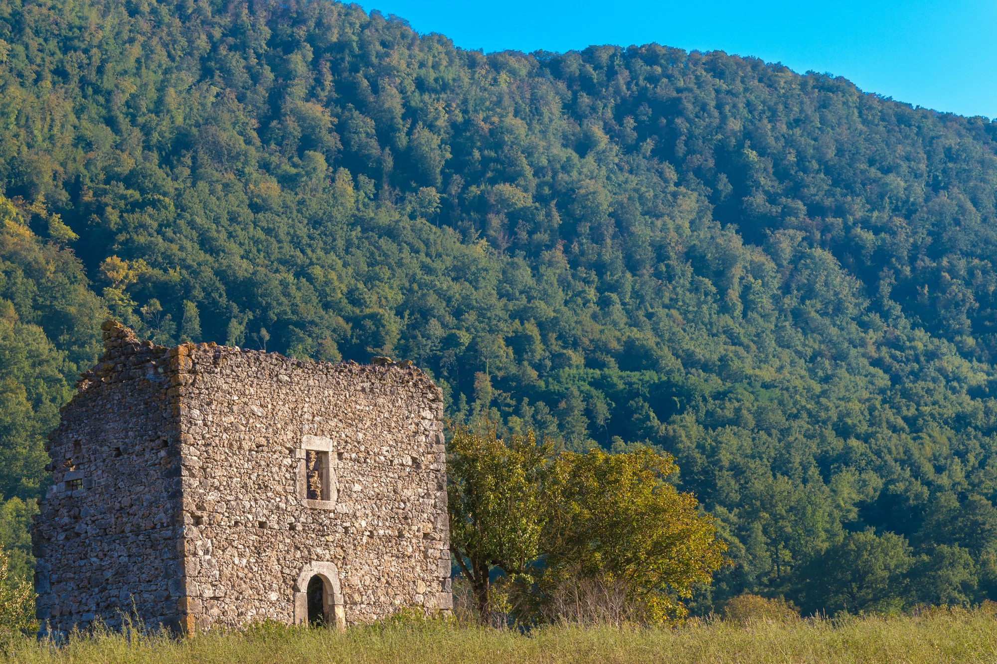Cascina Weather Guide: Ideal Seasons and Months to Visit