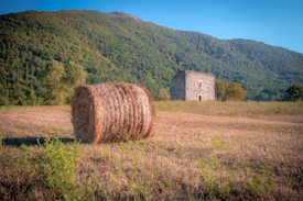 A large round hay bale sits in a grassy field with a tall, green forested hill in the background. An old, stone structure, possibly a rustic farmhouse or barn, stands on the right. The clear blue sky indicates a sunny day, casting warm light across the scene.