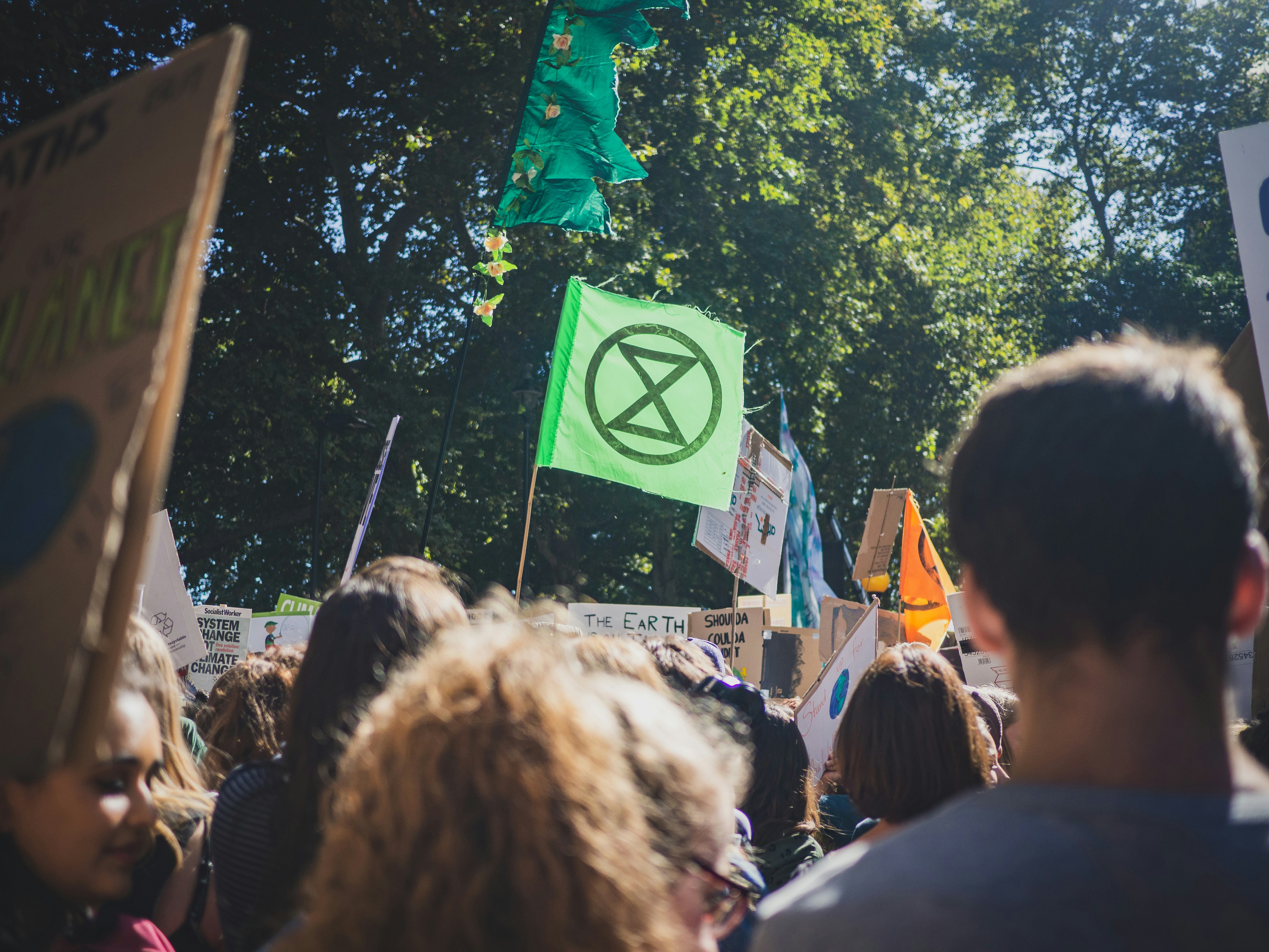 Image of an extinction rebellion protest