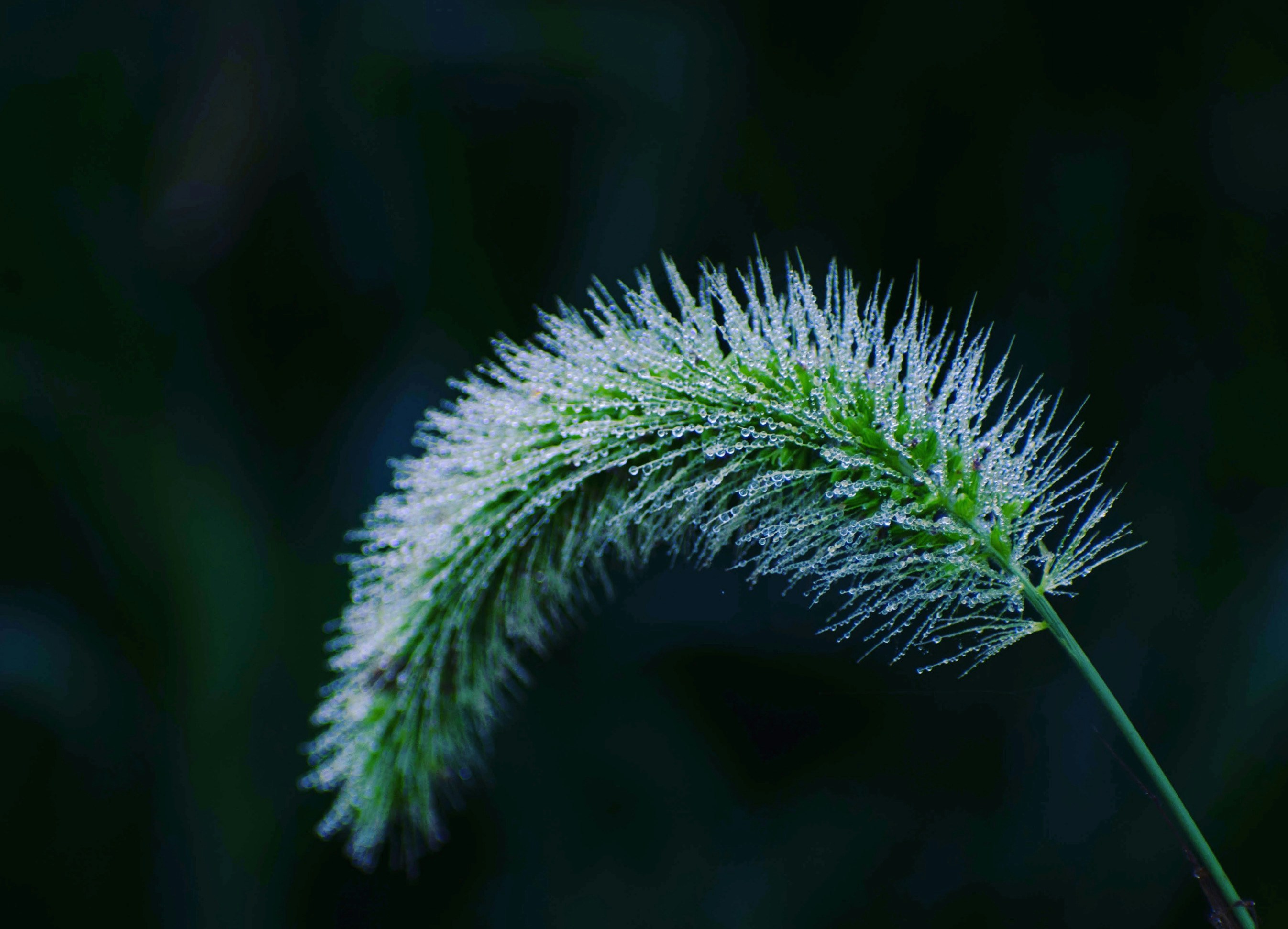Photo by photoart55