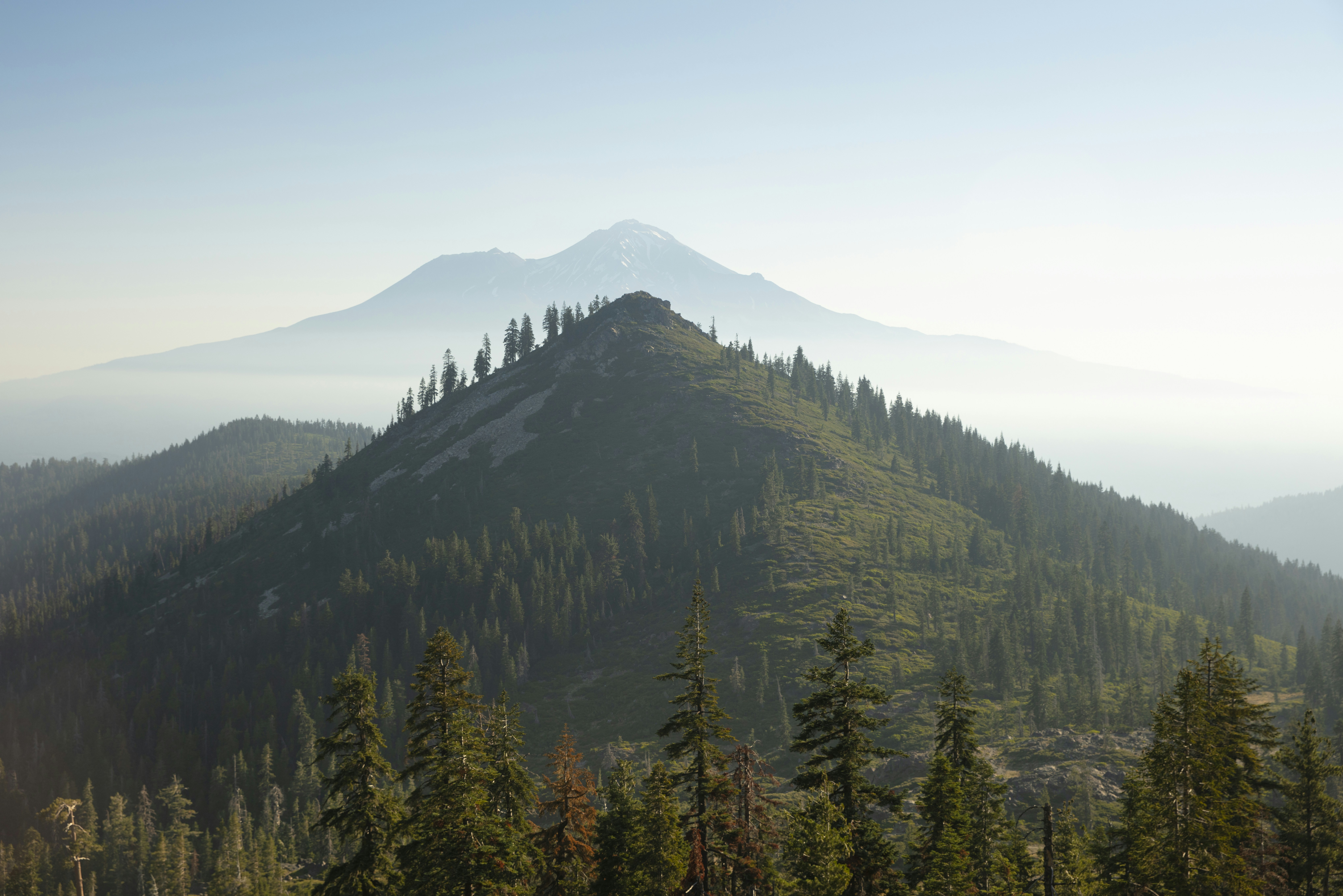 Photo by leo_visions_