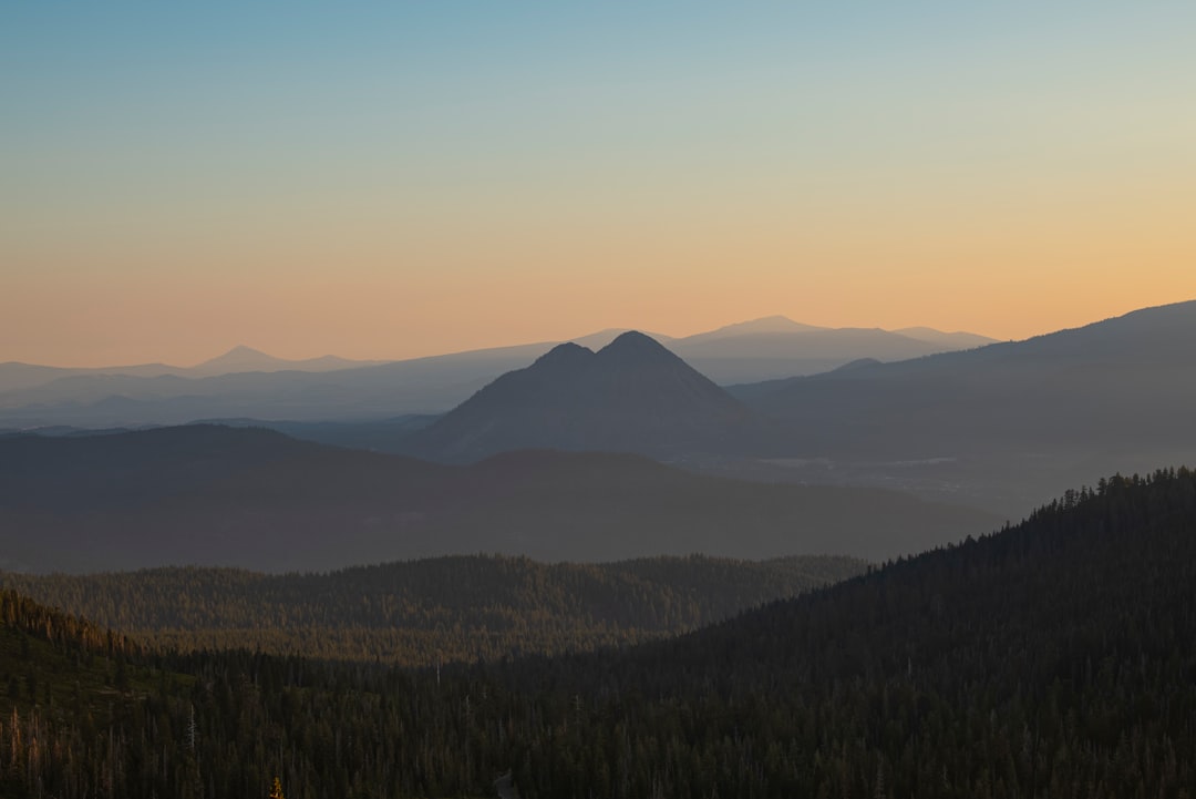 green trees and mountains during daytime