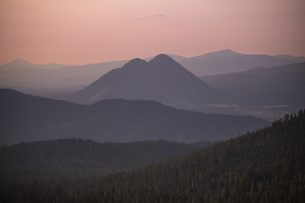 green trees on mountain during daytime