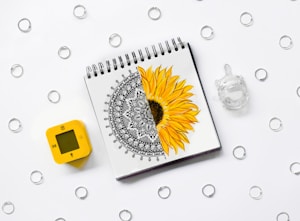 white and yellow daisy flower on white spiral notebook