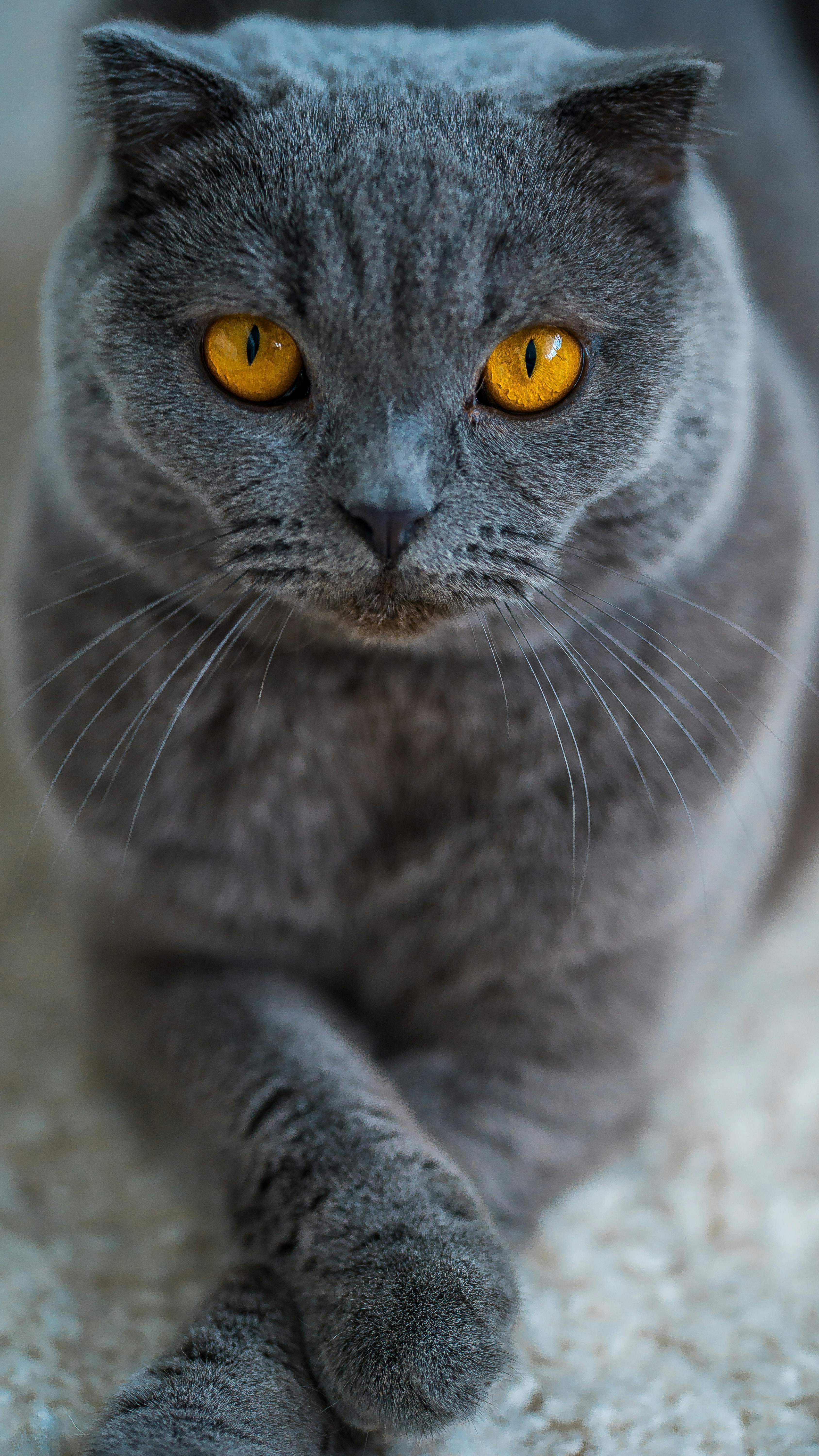 Photo by omarvellous14