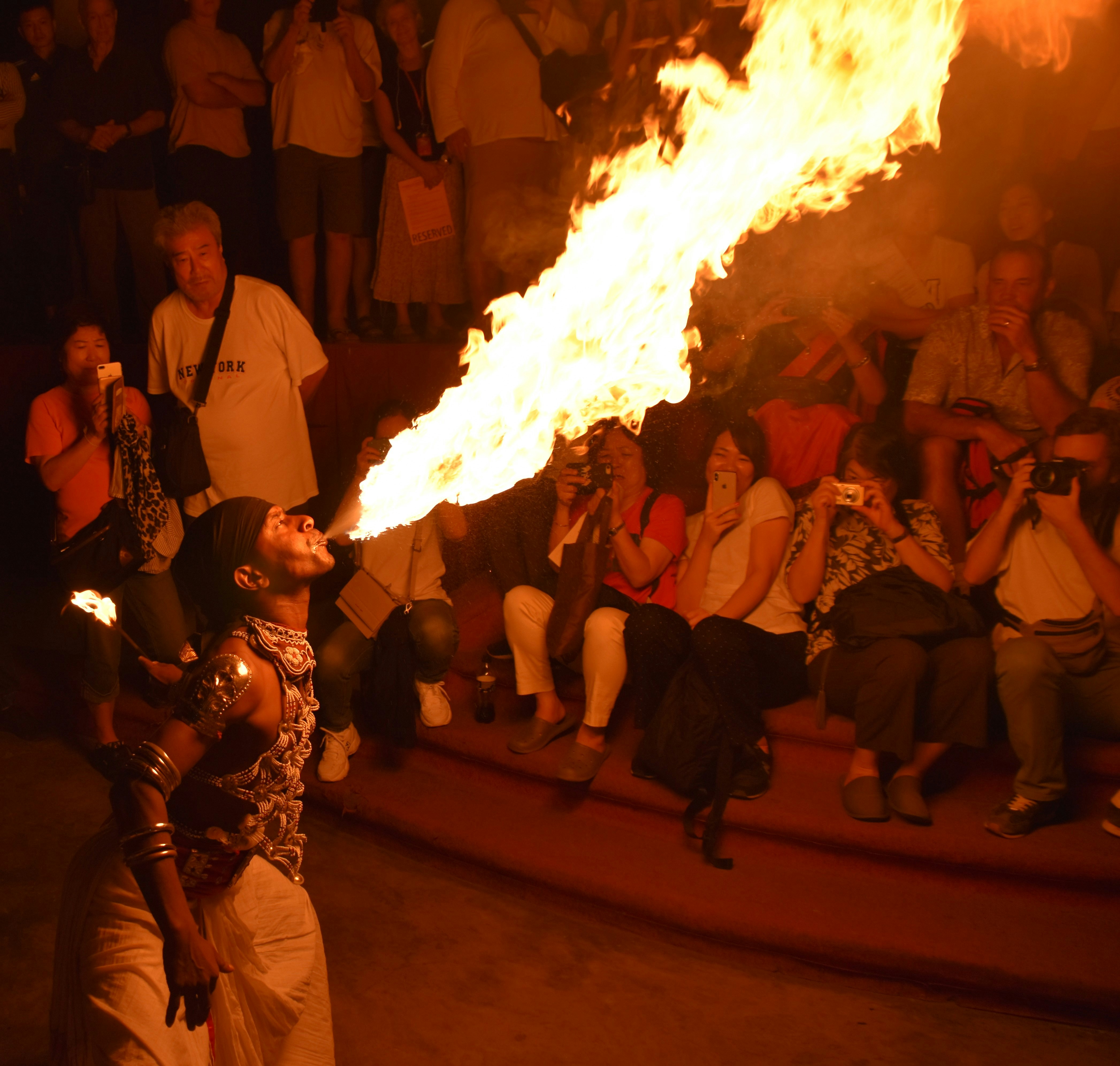 Kandy Esala Perahera elephant procession