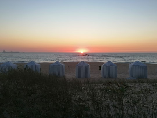 white wooden fence on green grass field during sunset in Leça da Palmeira Portugal