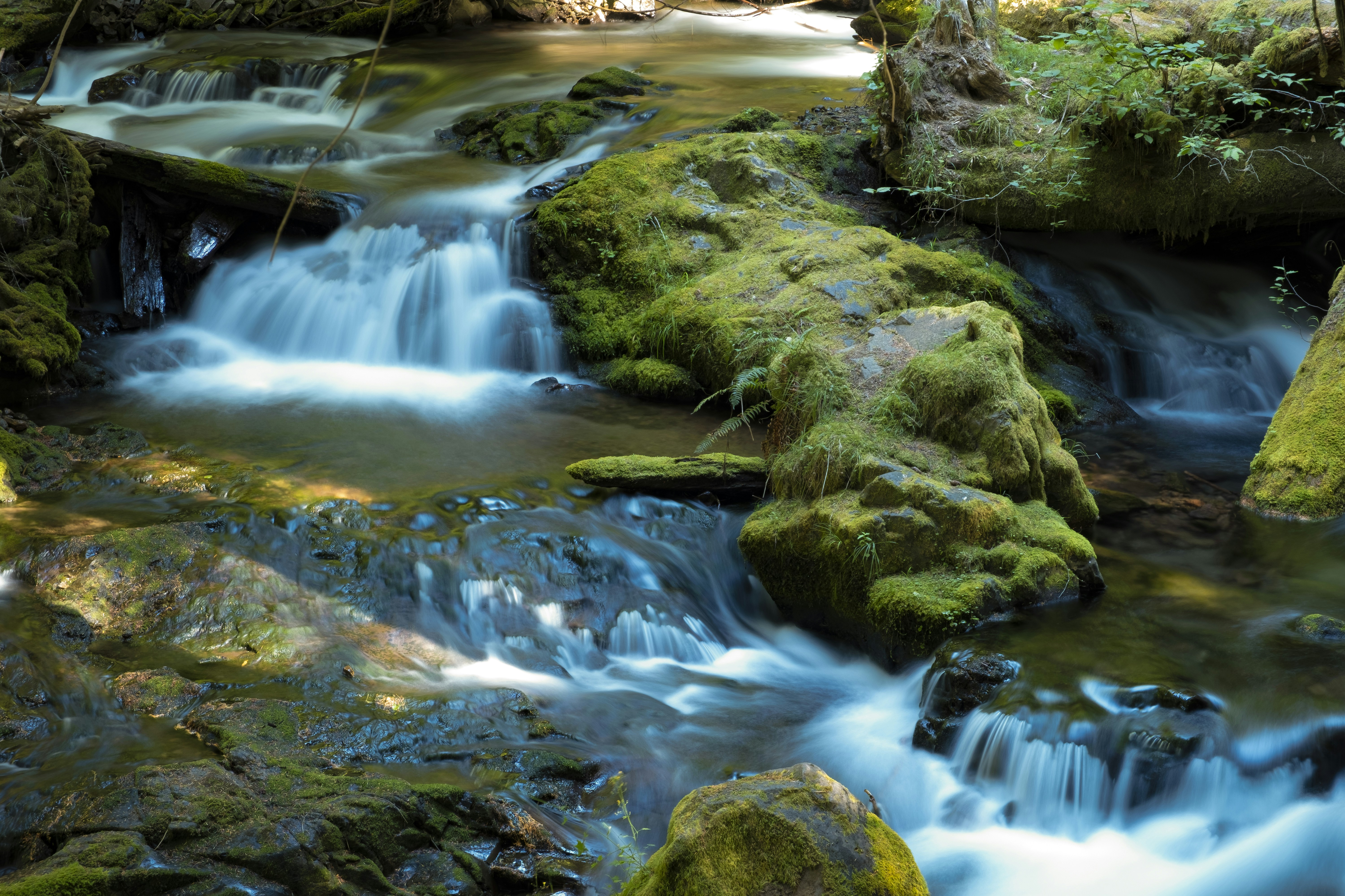 Photo by derrinbrice