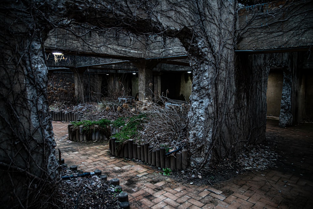 Casa de madera marrón con plantas verdes