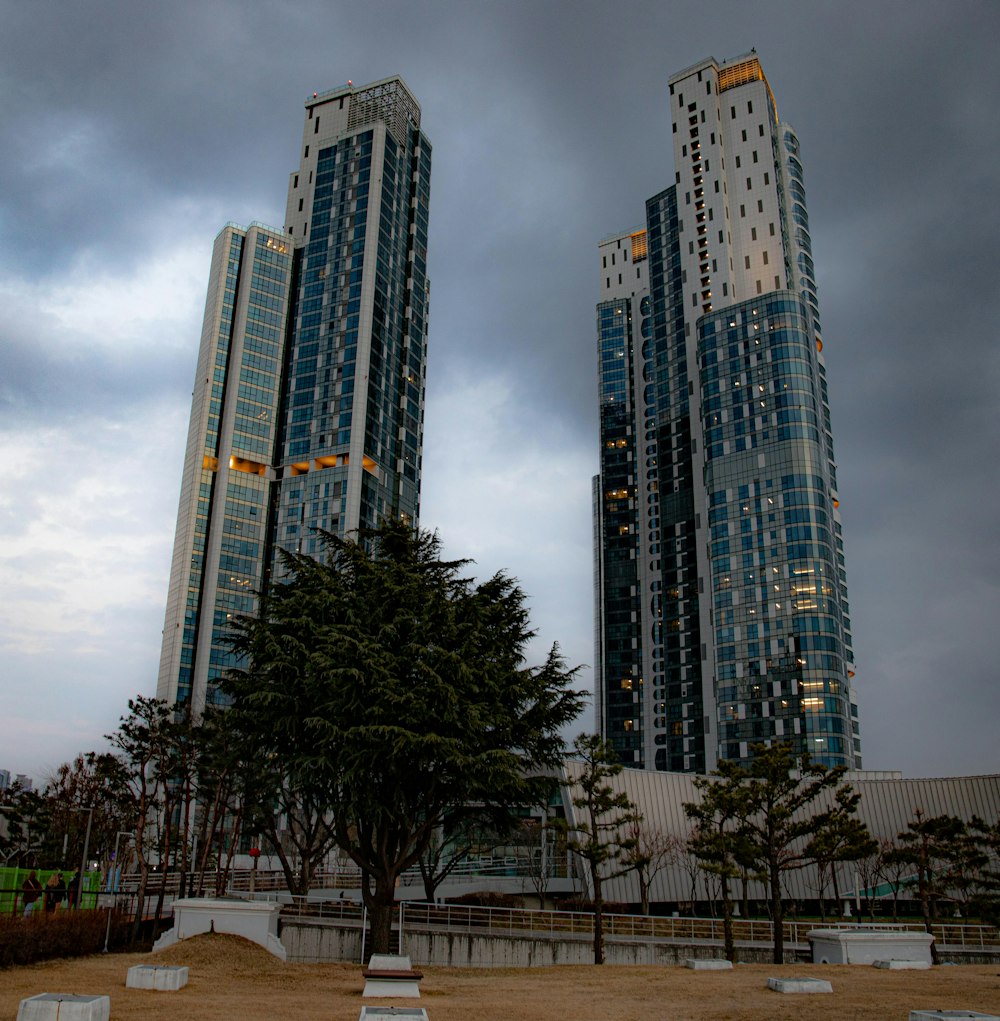 green trees near high rise building during daytime