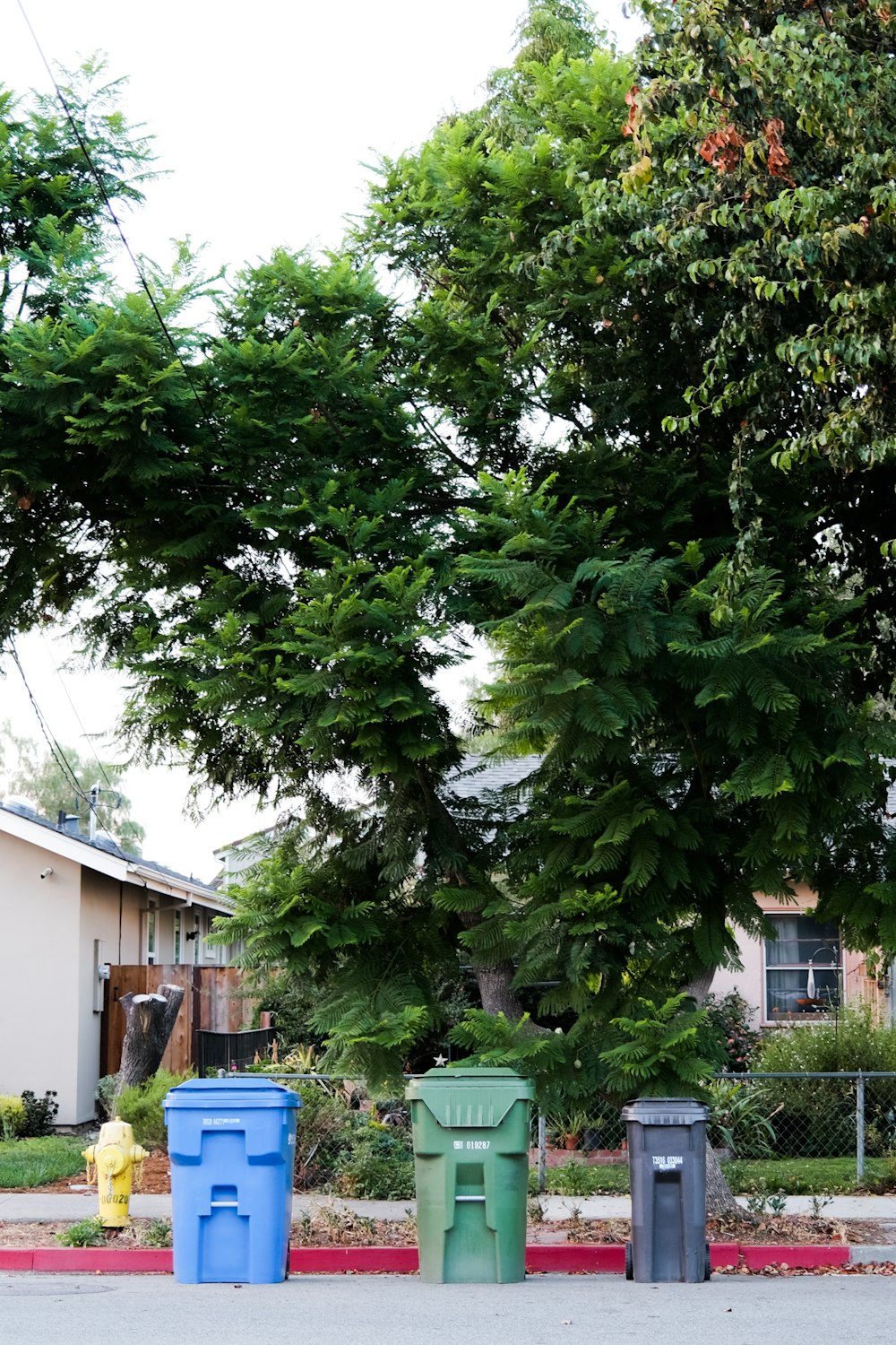 Árbol verde cerca de la Casa Blanca durante el día