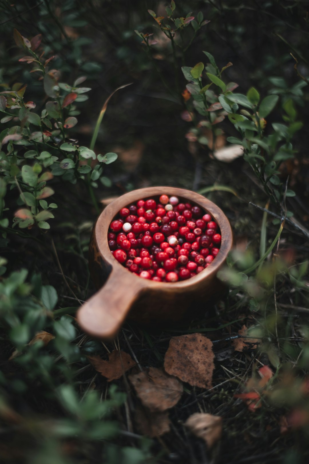 red round fruits in brown ceramic mug