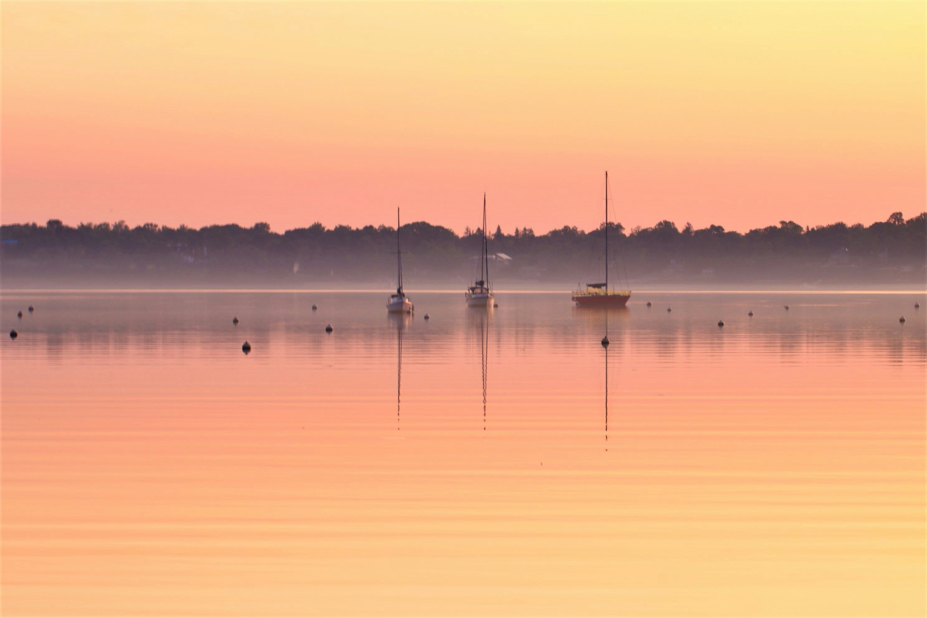 Photo by zeeman_photos63