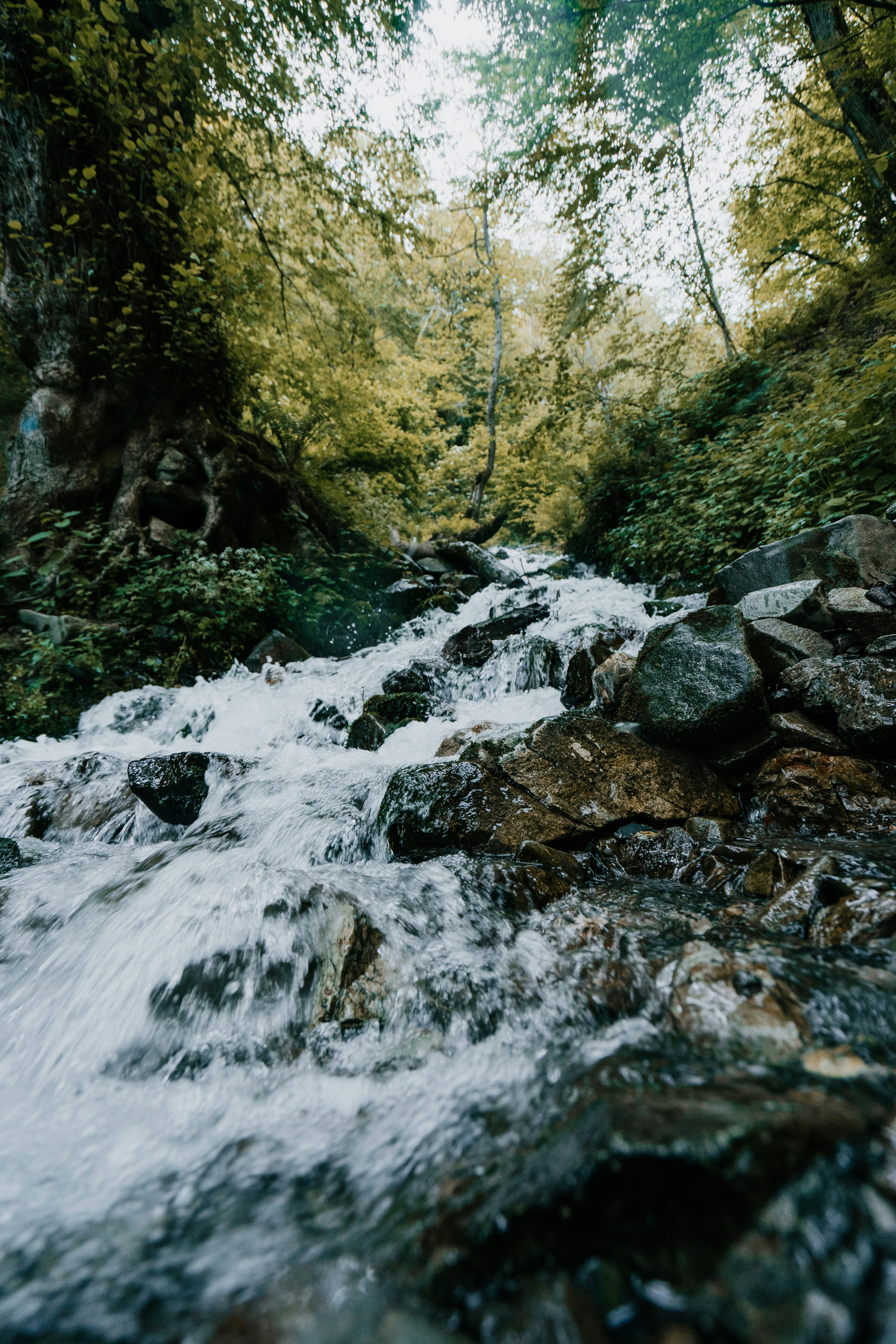 Photo by dmitrytomashek