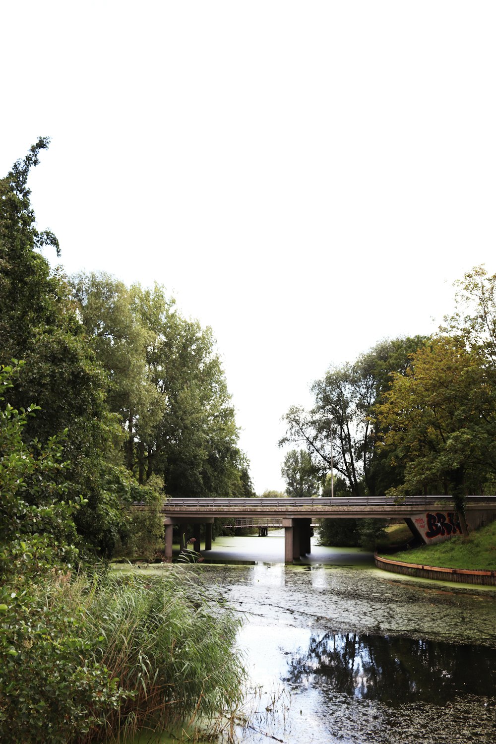 brown wooden bridge over river between green trees during daytime