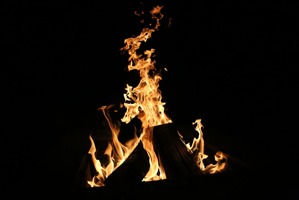 fire in the dark during night time