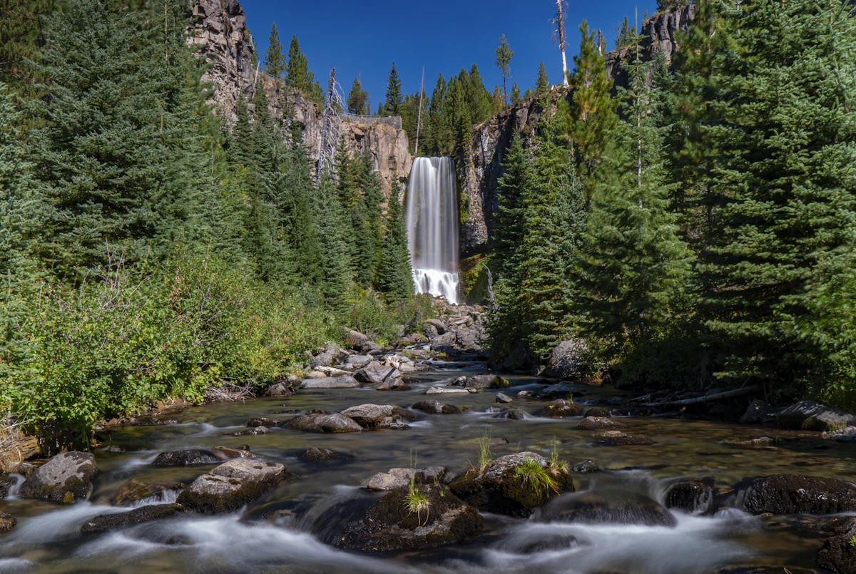A river running cold and slow through Central Oregon pines