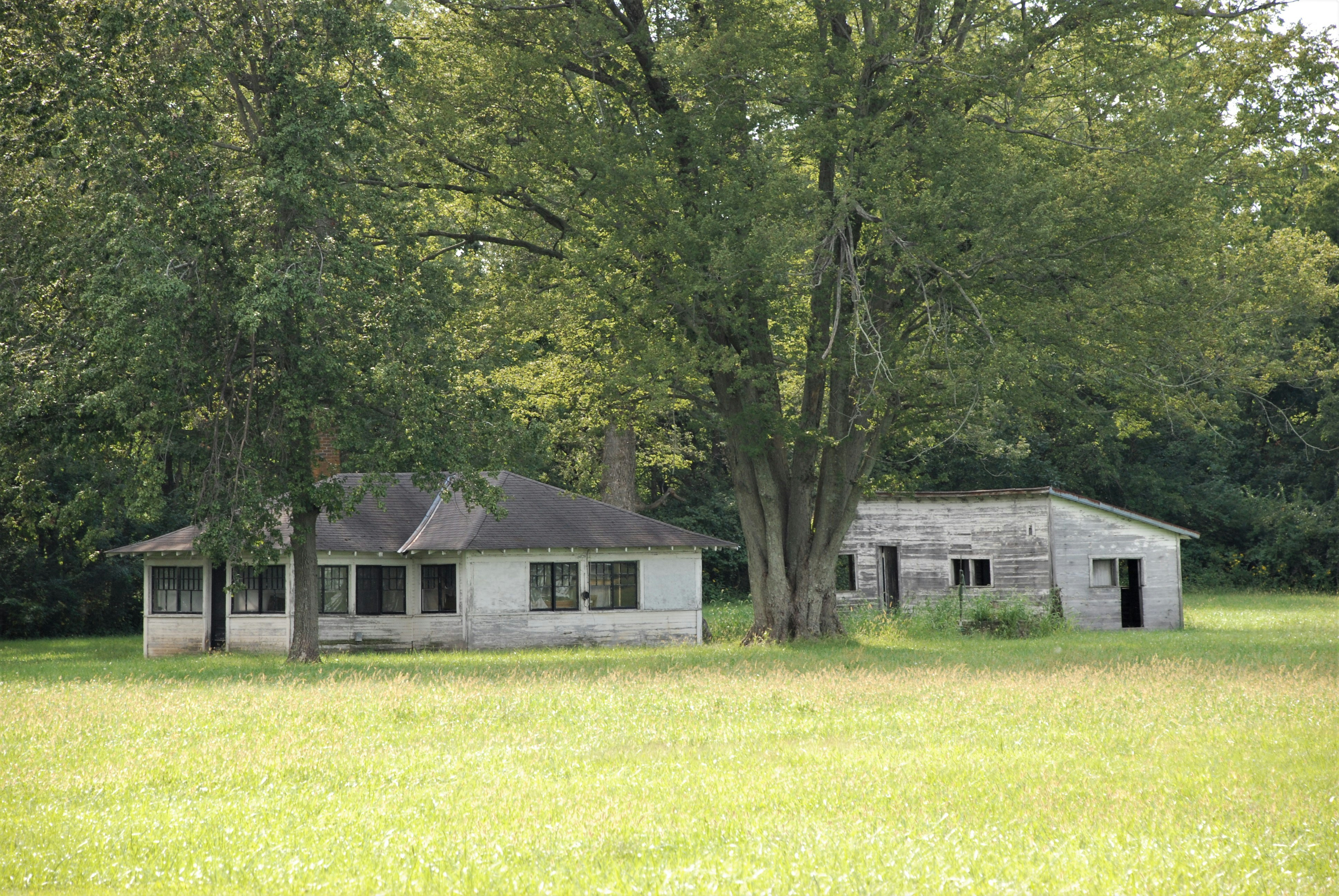 white and gray house near green trees during daytime