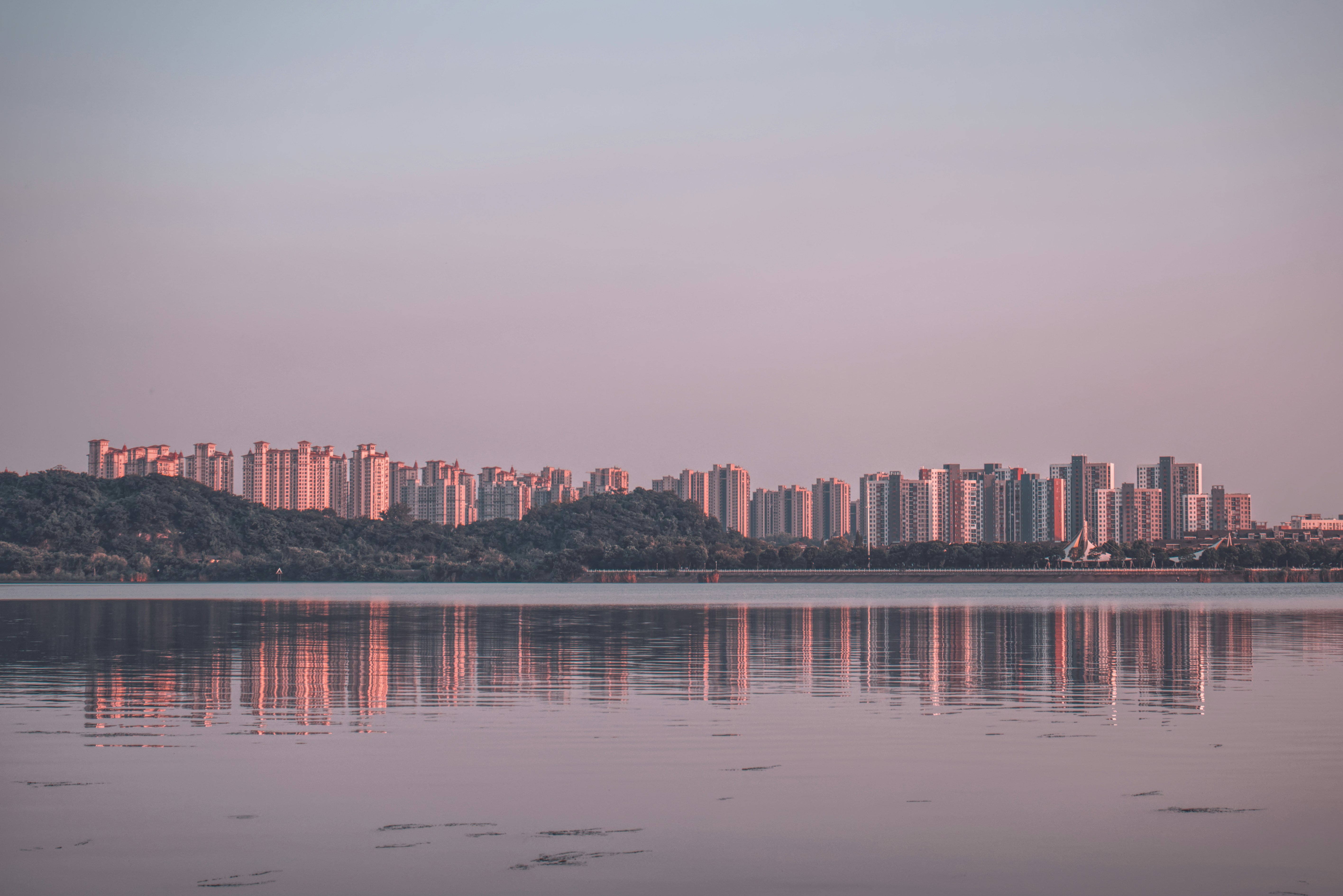 Photo by toyamakanna