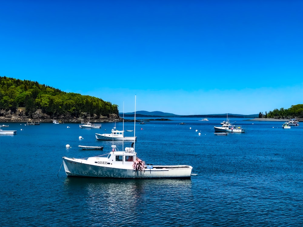 Bateau blanc et bleu sur la mer pendant la journée