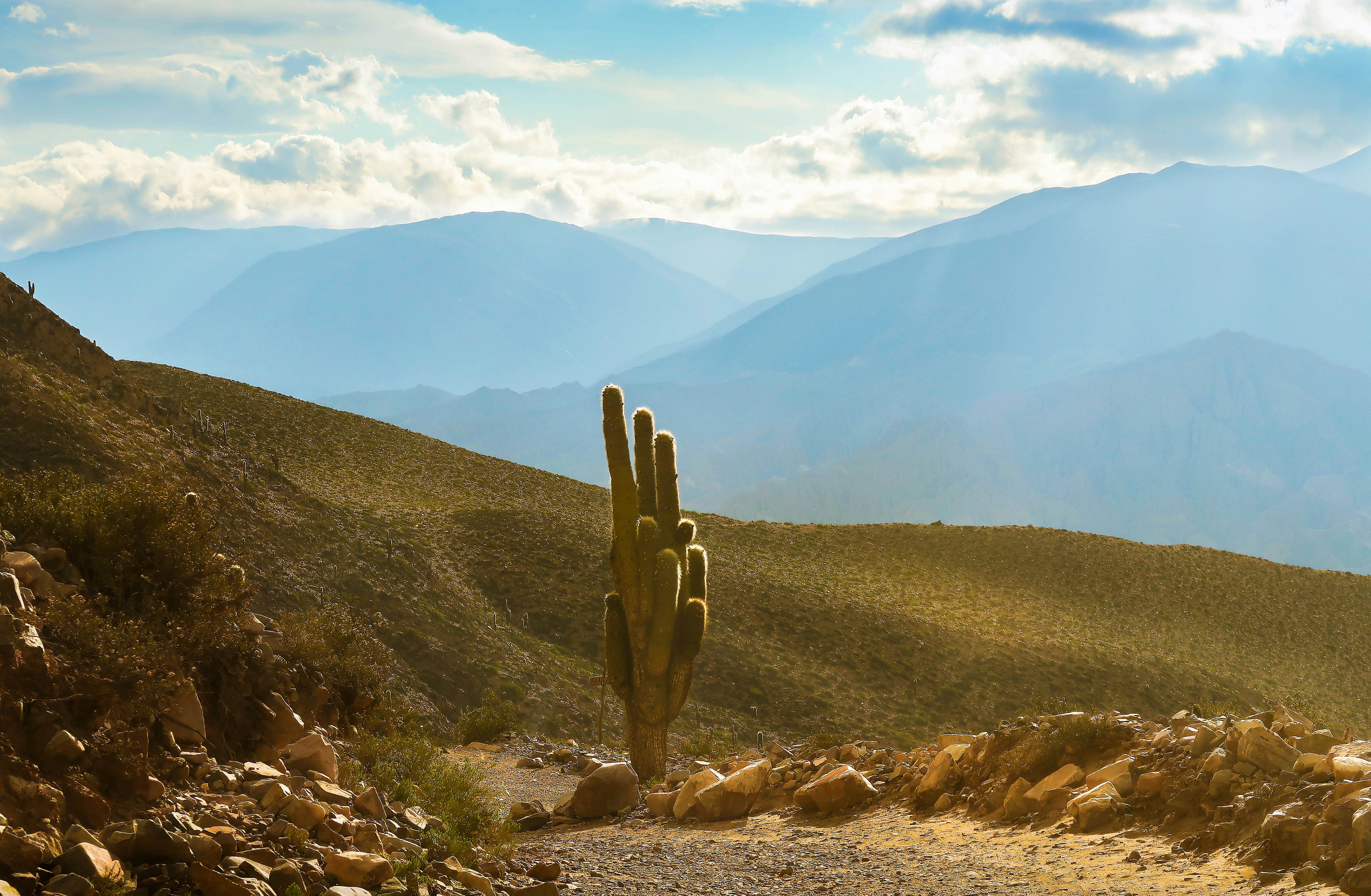 Photo by argentinanatural