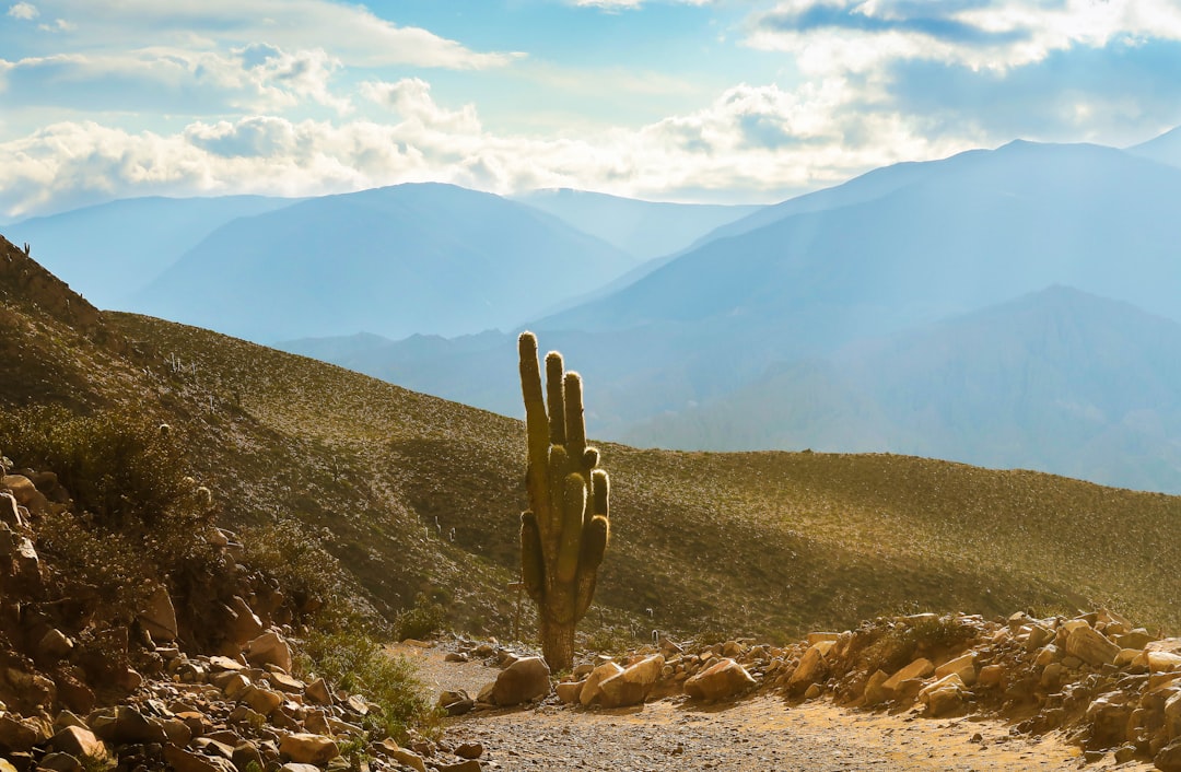 Hill photo spot Tilcara Jujuy