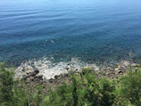 Crystal-clear lagoon with coral reefs visible beneath the surface on a sunny day.