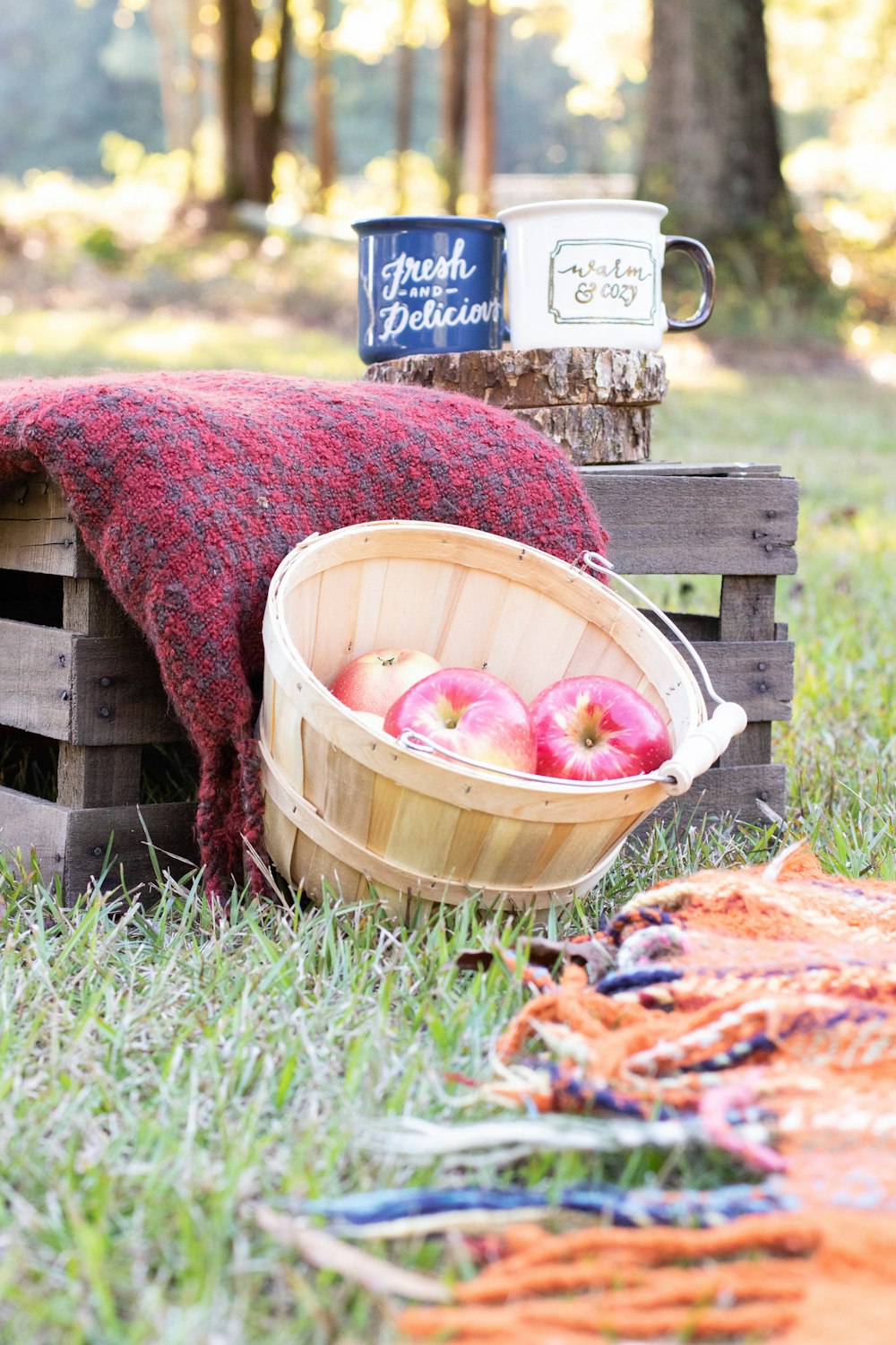 red and blue round fruits in brown wooden crate