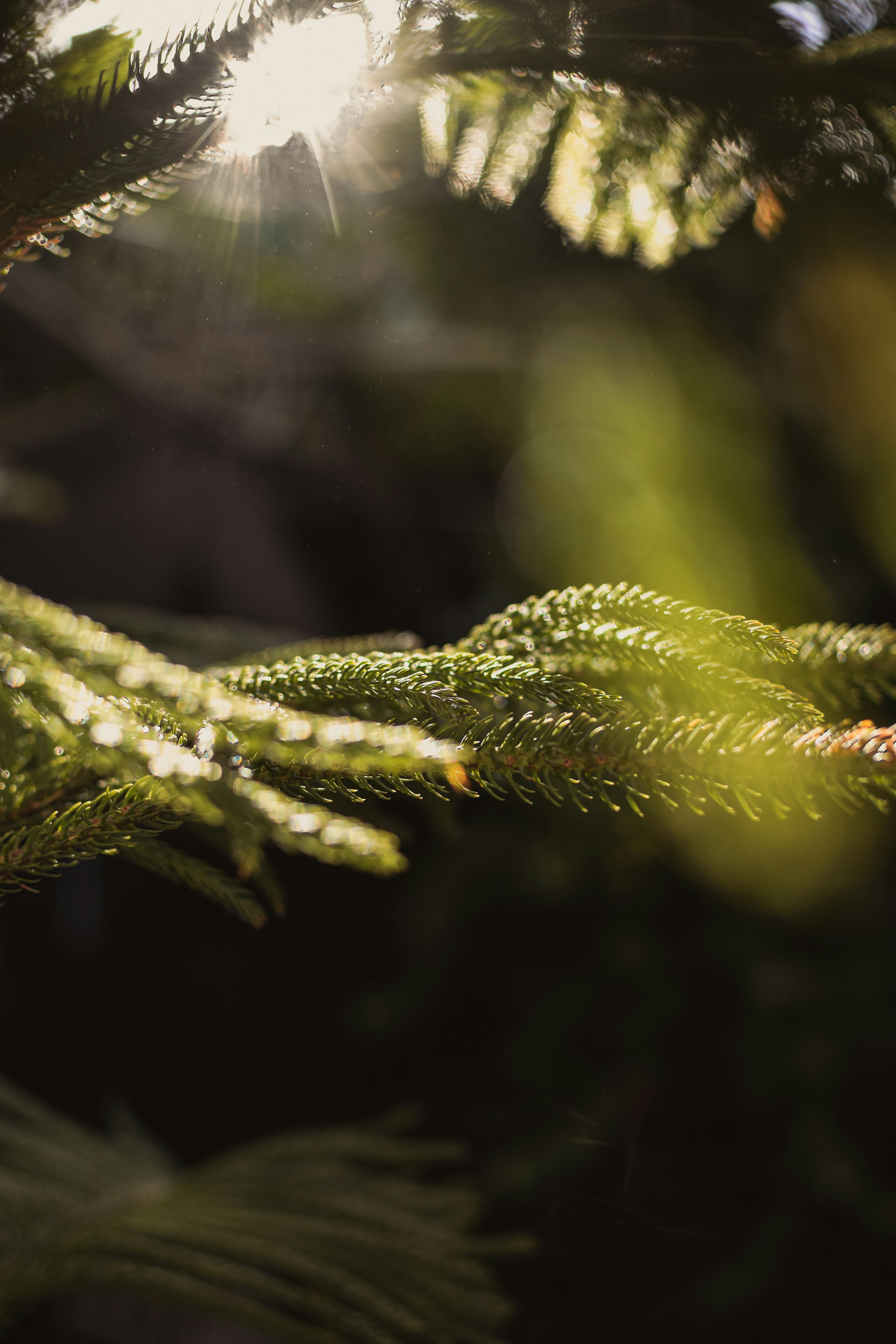 Photo by pouriaoskuie