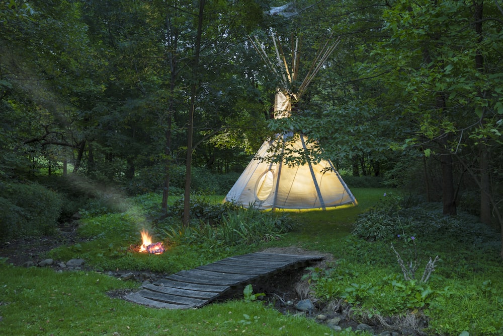 white tent in forest during night time