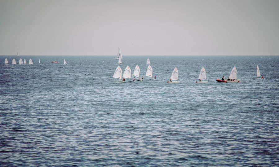 White sailboats on the sea during the day, intermediate training fleet