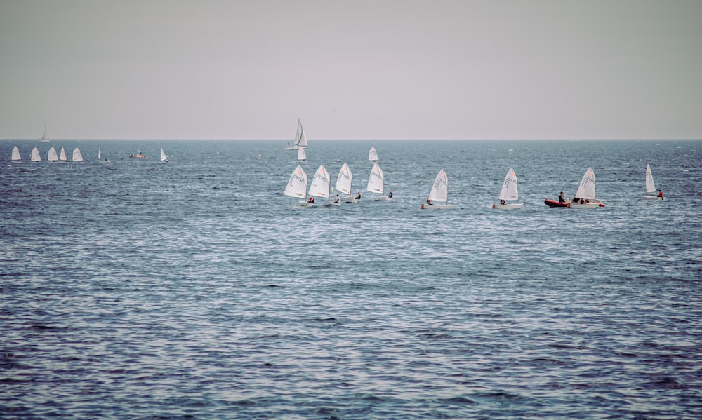 white sail boats on sea during daytime