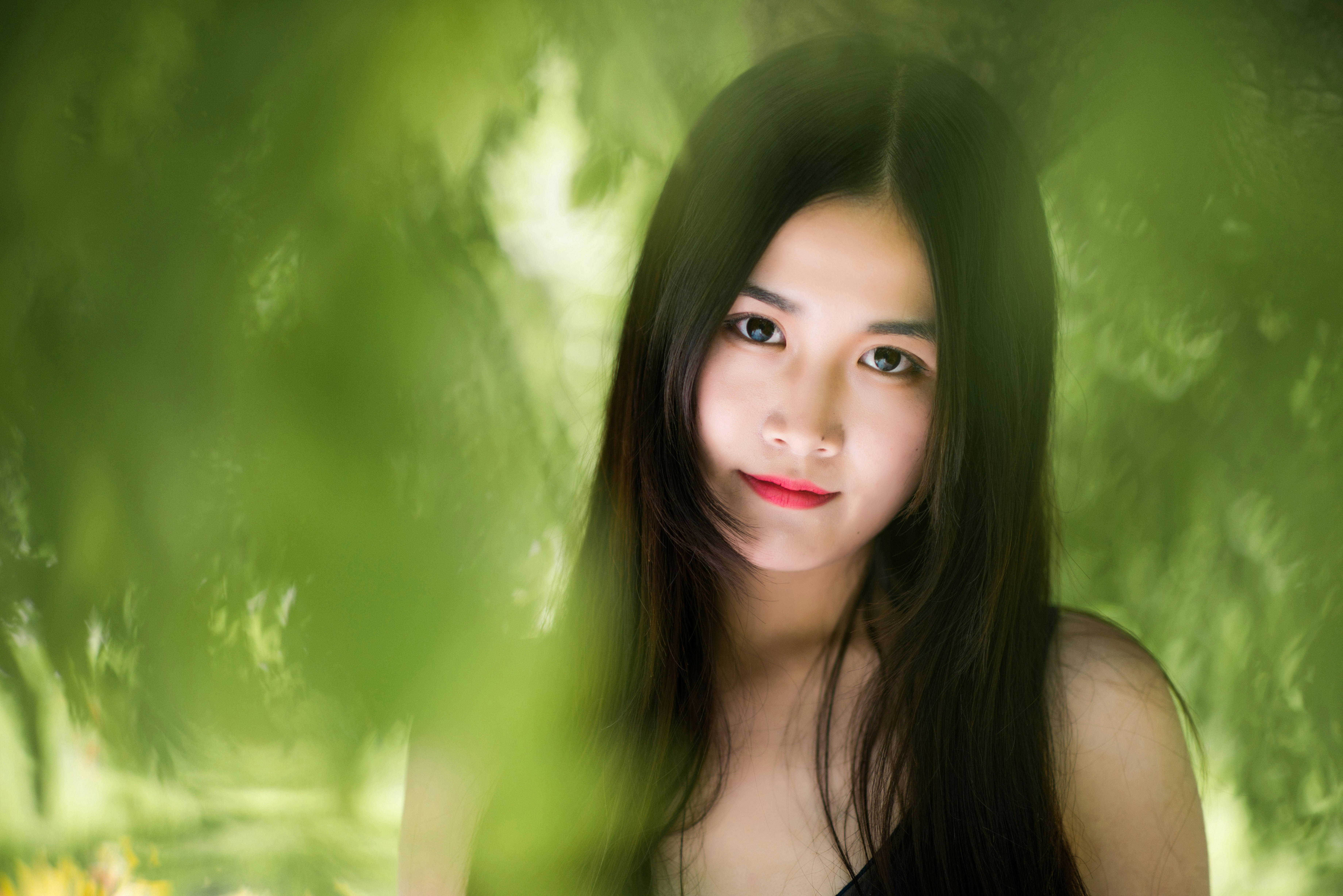 Innisfree korean