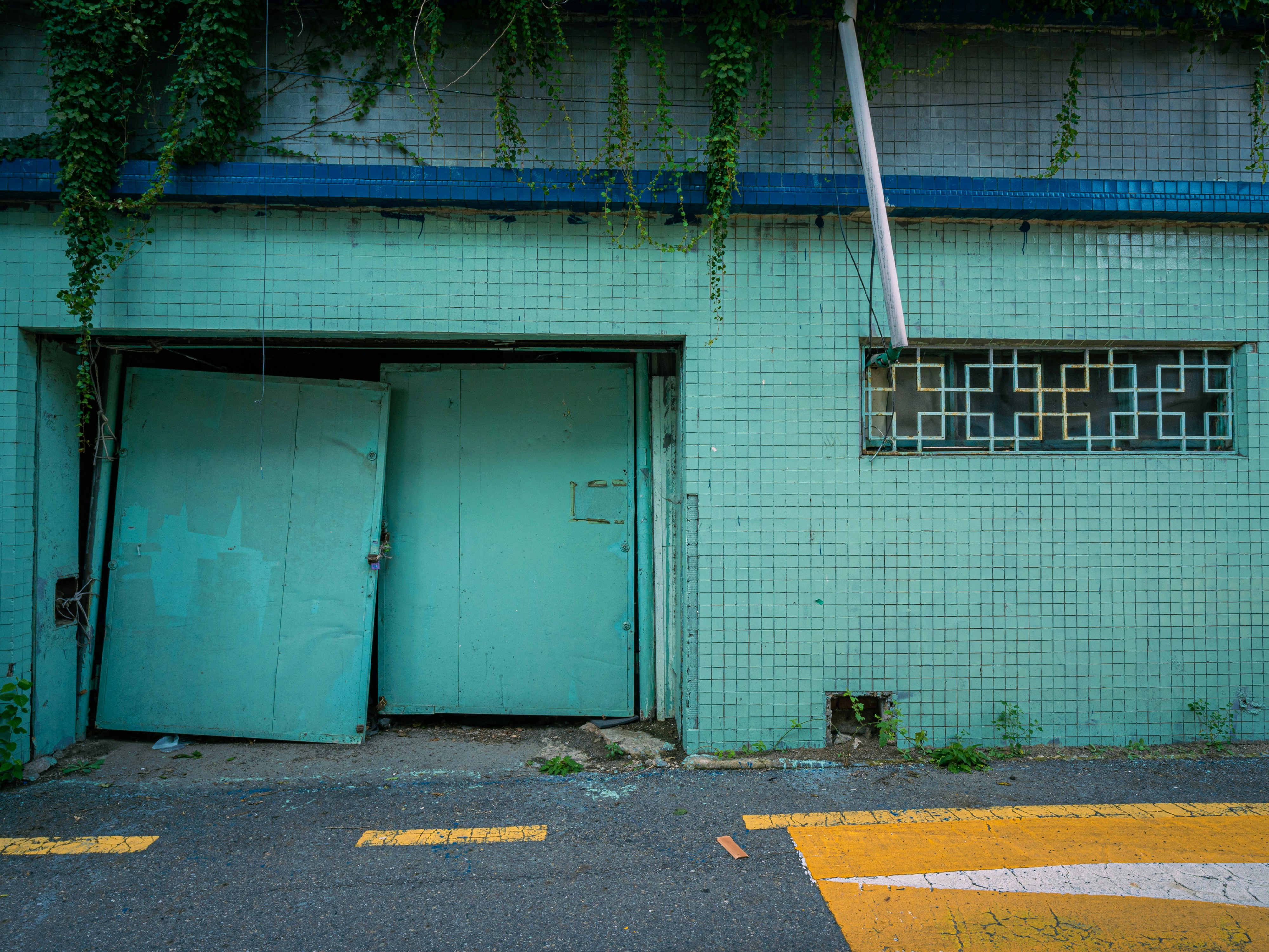 Photo by brother_yoon