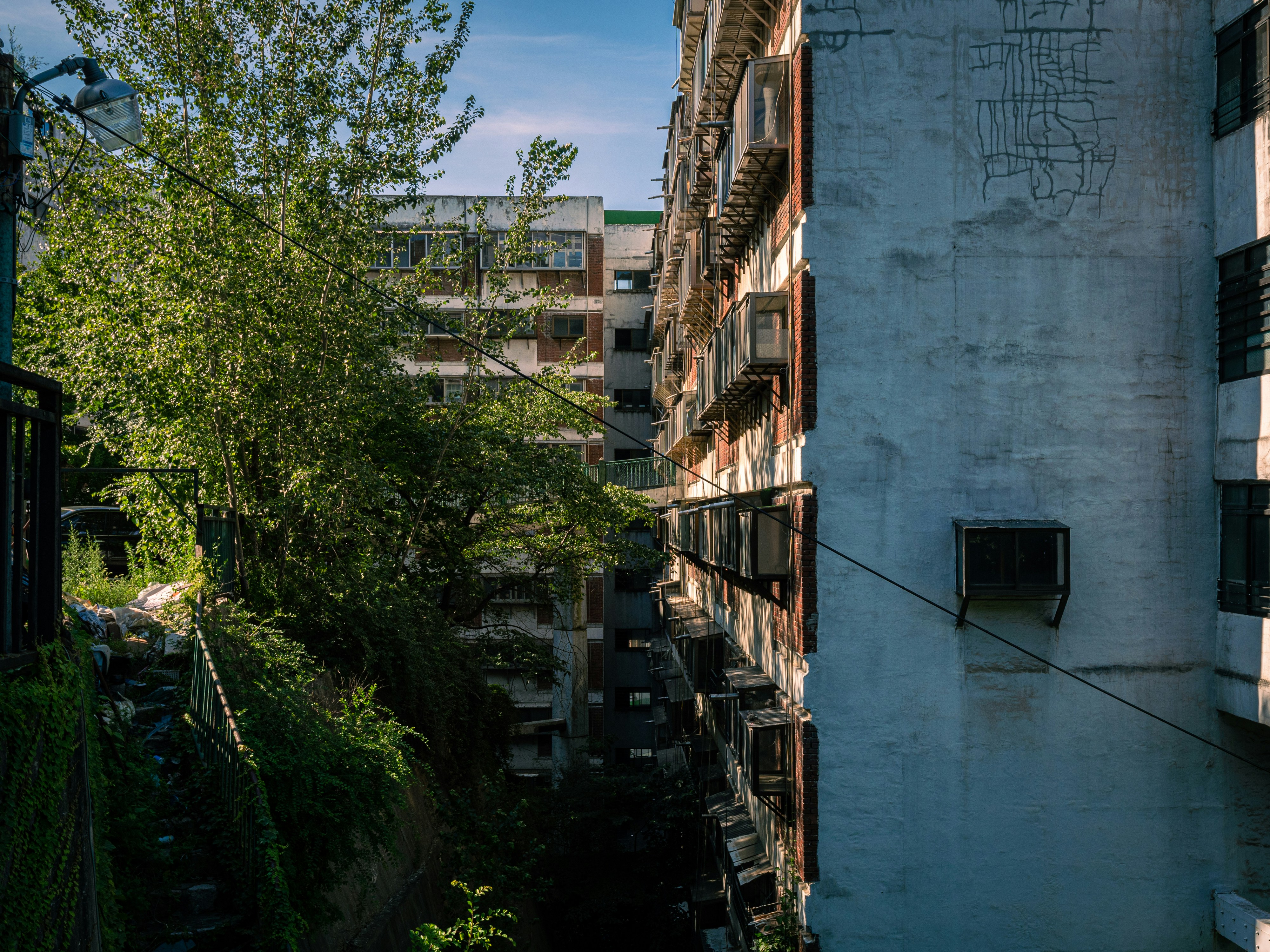 Photo by brother_yoon