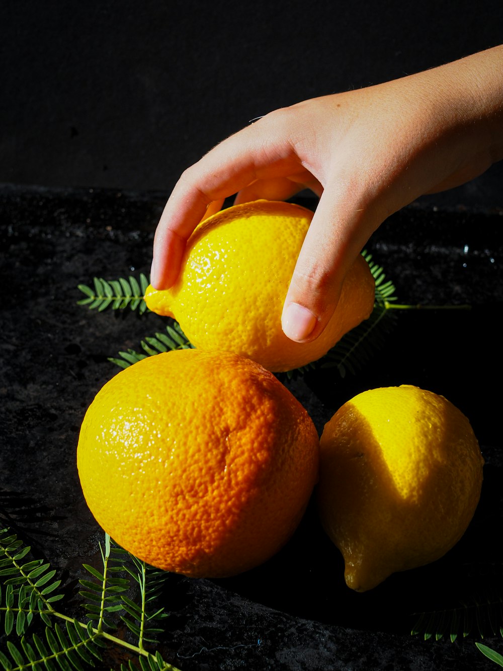 person holding three orange fruits
