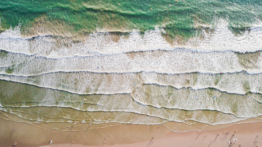 aerial view of green and brown beach