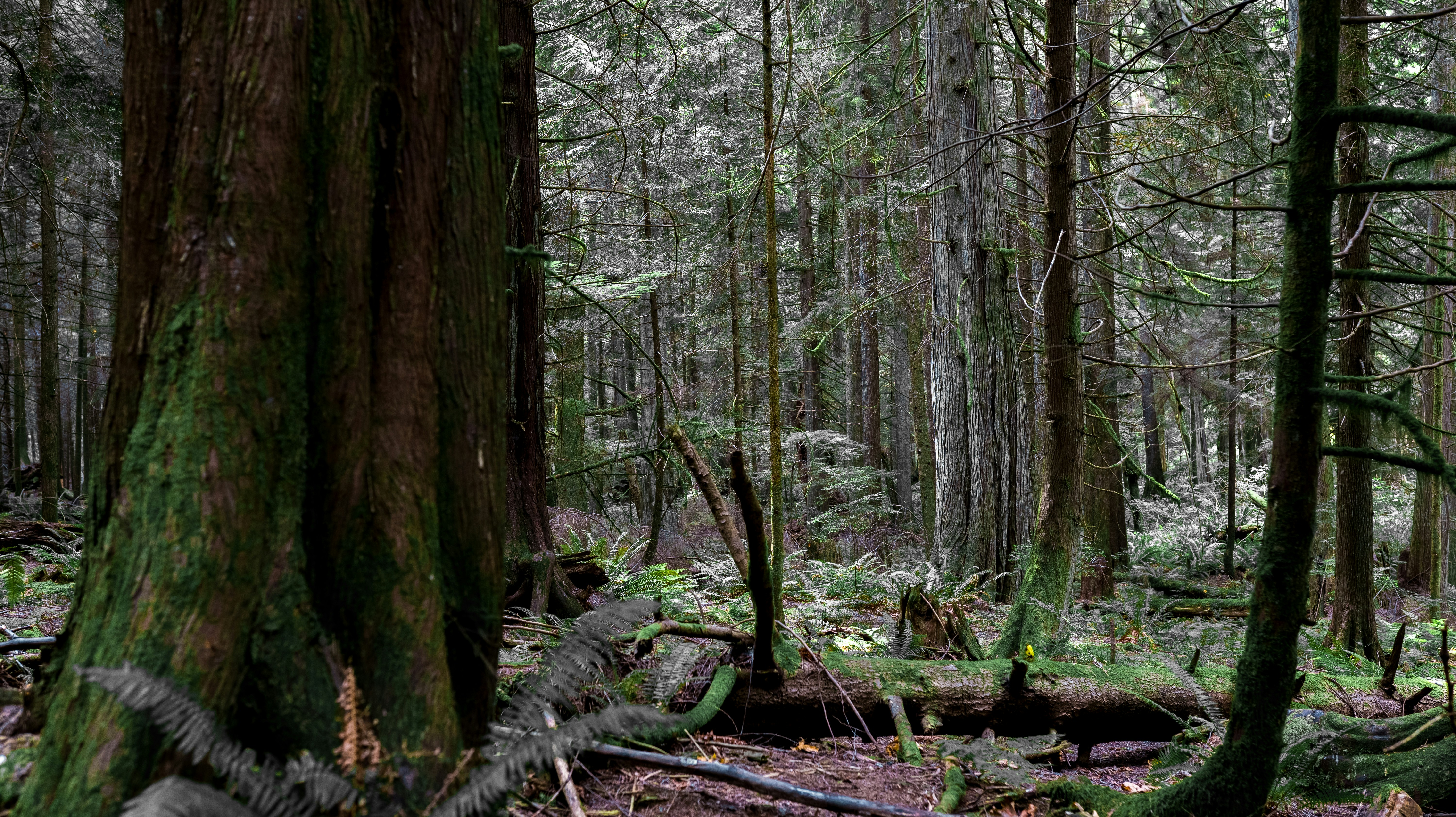 Photo by visualsbyroyalz