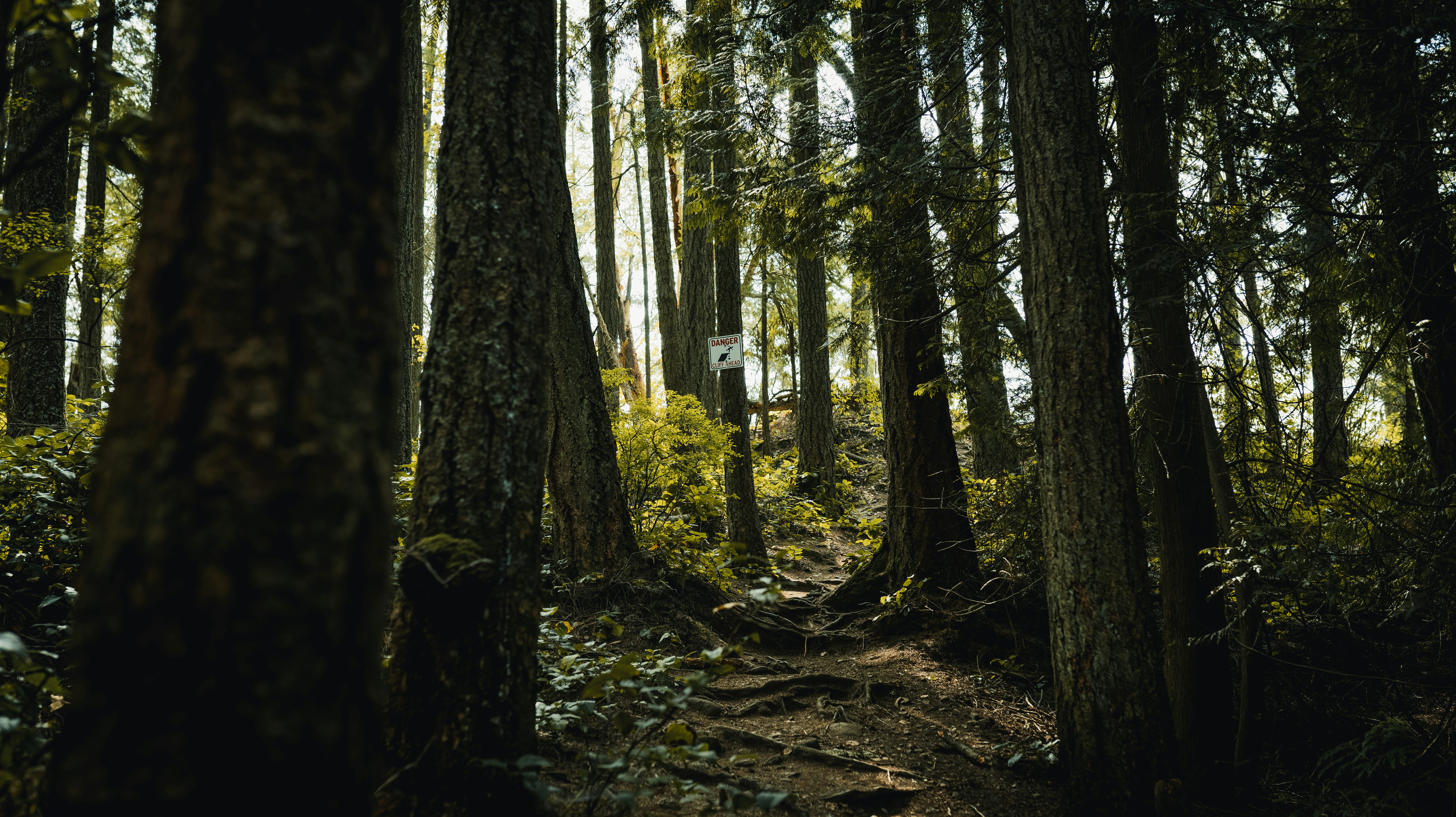 On the way up to Soames Hill in Gibsons, B.C (Sunshine Coast) Photo By @VisualsByRoyalZ