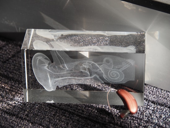 A transparent glass block featuring an etched design of the inner ear anatomy, displaying detailed structures like the cochlea. It is positioned on a textured, dark gray surface with a hearing aid resting partially inside the block.