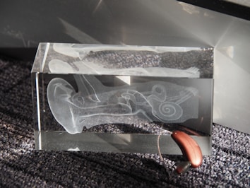 A transparent glass block featuring an etched design of the inner ear anatomy, displaying detailed structures like the cochlea. It is positioned on a textured, dark gray surface with a hearing aid resting partially inside the block.