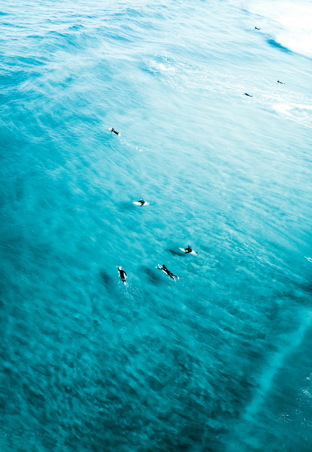 people surfing on sea during daytime