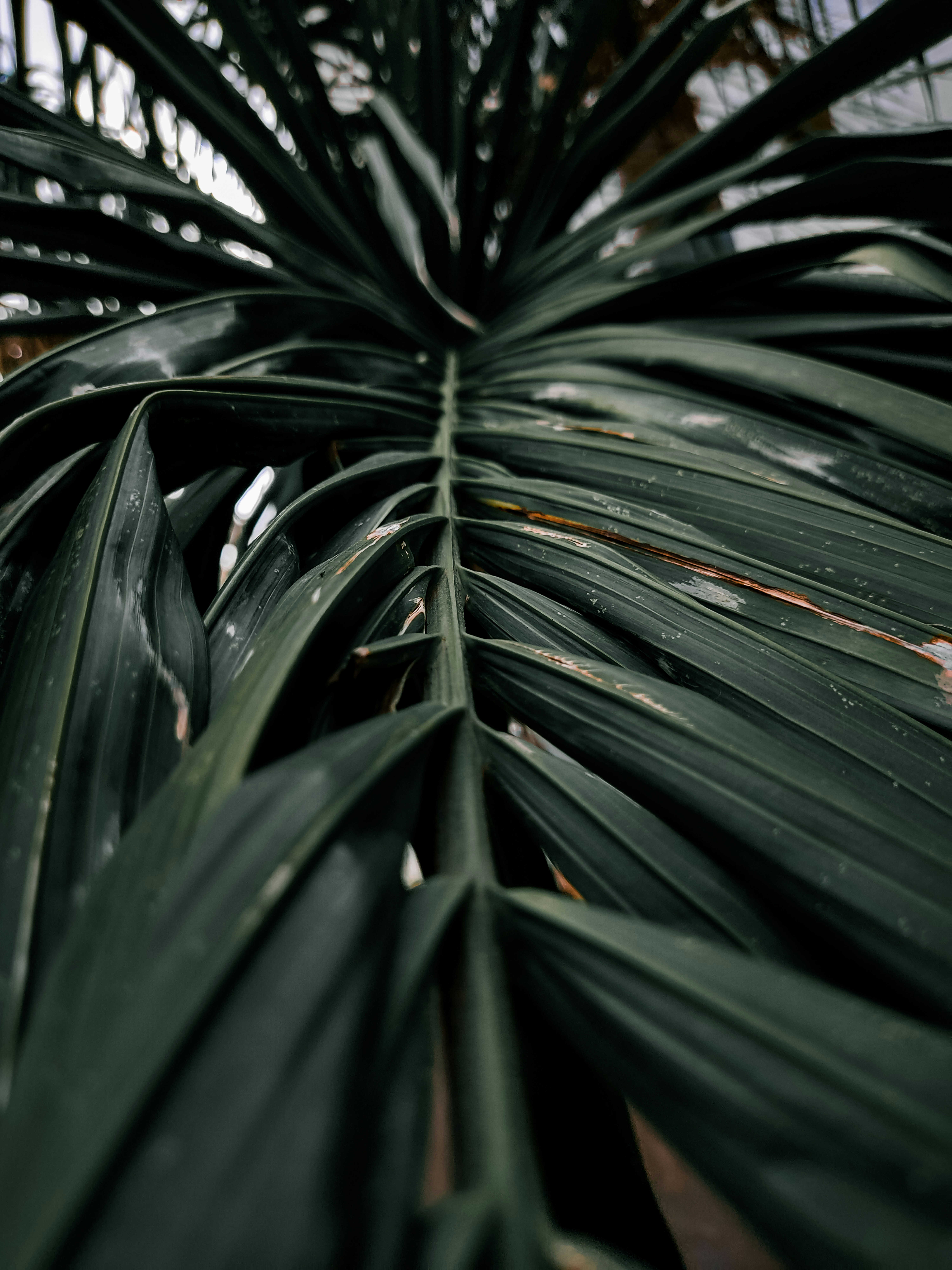 Photo by thenamanporwal