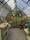 A quaint greenhouse interior filled with greenery, featuring a potting bench, a hanging plant, and gardening tools. Shelves hold books and pots, while a straw hat hangs beside a woven wreath on the wall. Sunlight filters through the translucent walls, adding a serene ambience.