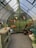 A quaint greenhouse interior filled with greenery, featuring a potting bench, a hanging plant, and gardening tools. Shelves hold books and pots, while a straw hat hangs beside a woven wreath on the wall. Sunlight filters through the translucent walls, adding a serene ambience.